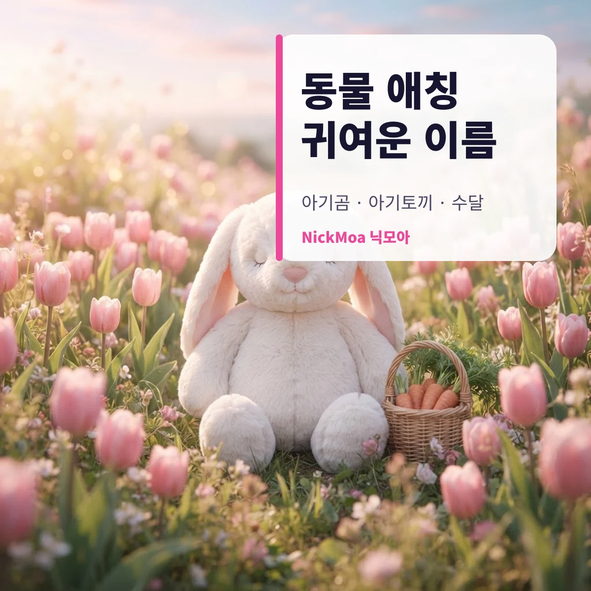 동물 애칭 귀여운 닉네임 안내 이미지 — NickMoa 닉모아