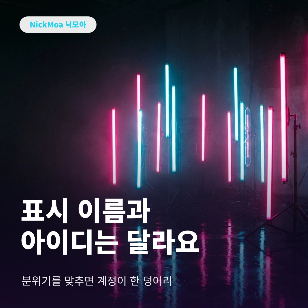 틱톡 표시 이름과 사용자 이름 차이 안내 이미지 — NickMoa 닉모아