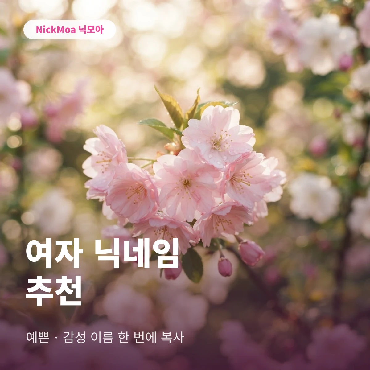 여자 닉네임 추천 안내 이미지 — NickMoa 닉모아